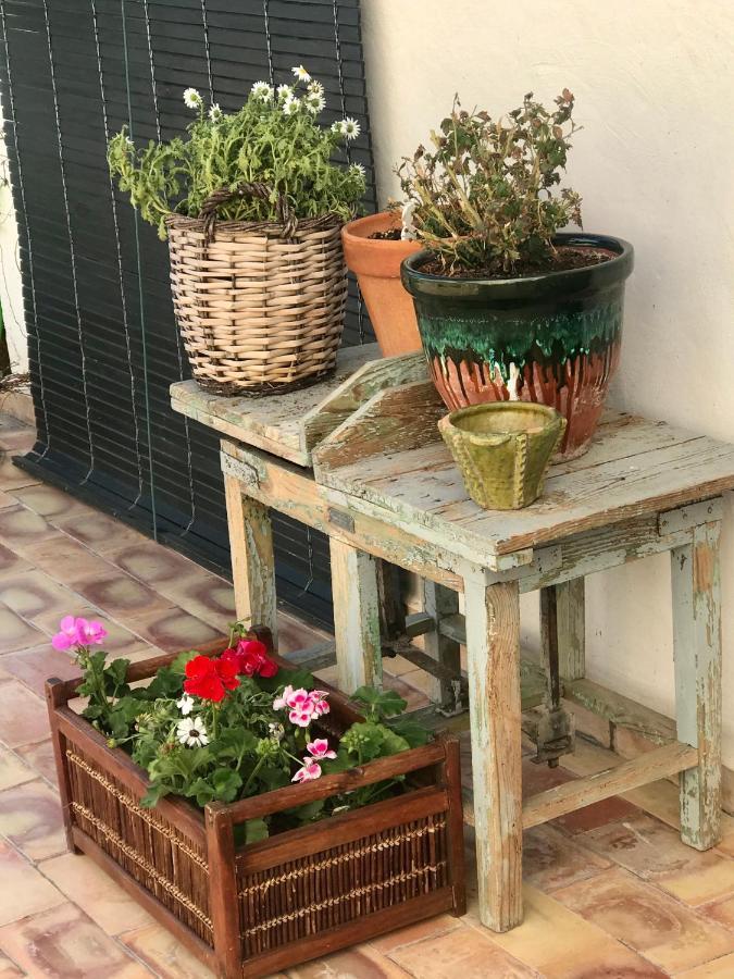 Al-Qandil Guest House Margarida Екстериор снимка